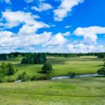 コミュ障を極めたプロ社畜「タケイ」のプロフィール